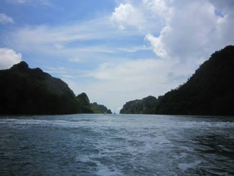 Another view of the mangrove trip in Langkawi (photo Nihal Sh)