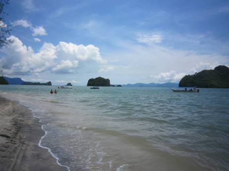 Mangrove trip in Langkawi (photo Nihal Sh)